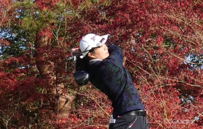 batch_DSC06543-crop